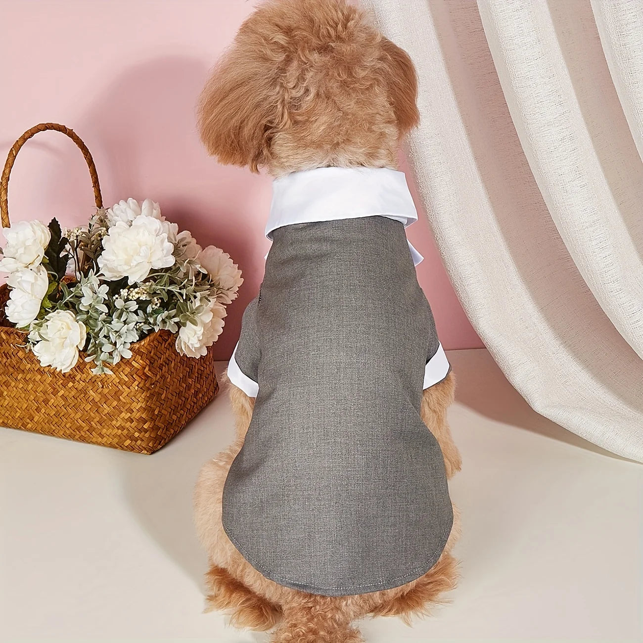 Wedding Suit With Bow