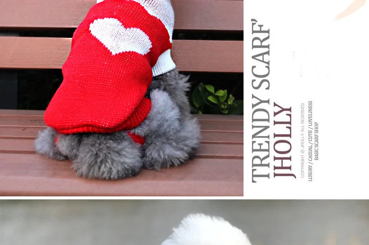 Winter Pet Sweater