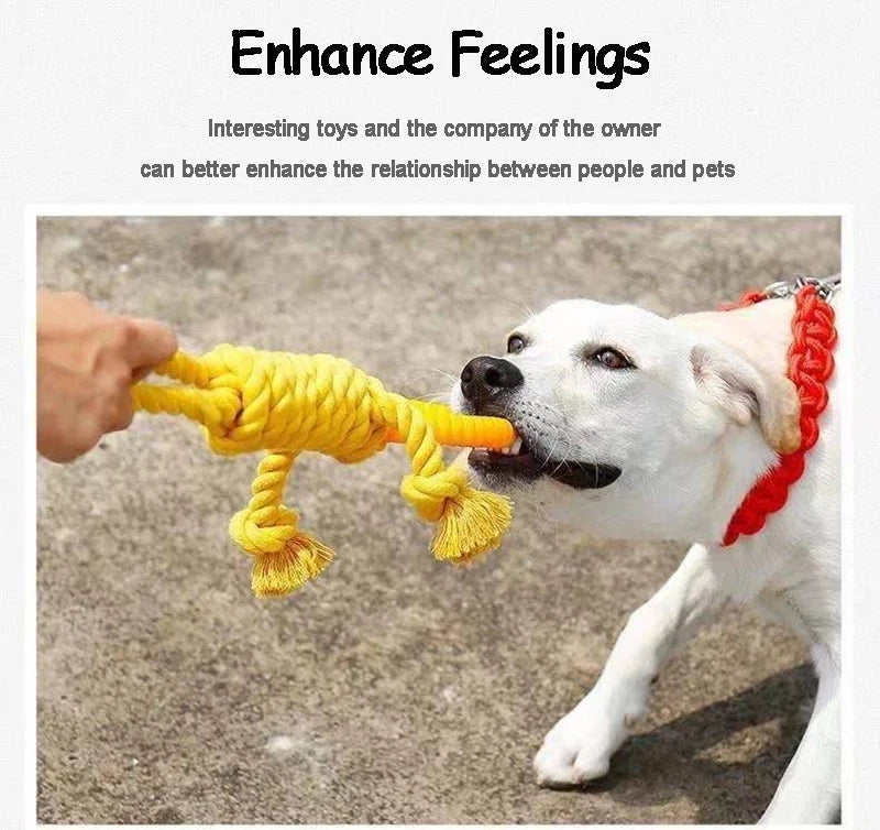 Puppy Teeth Cleaning Chew Toy