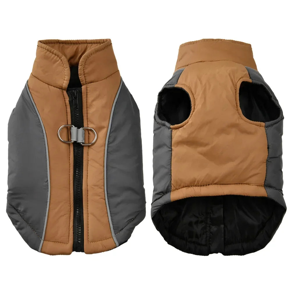 Winter Coat