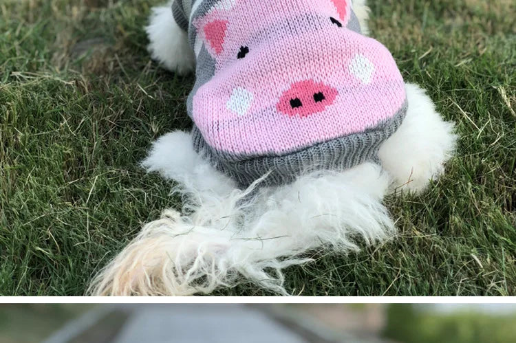 Winter Pet Sweater