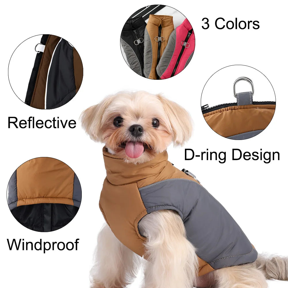 Winter Coat