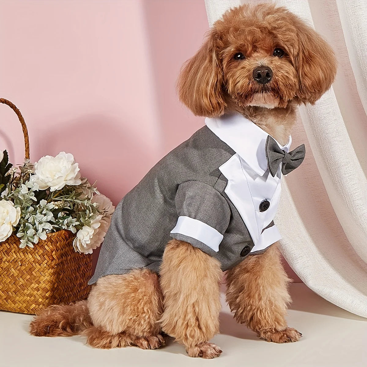 Wedding Suit With Bow
