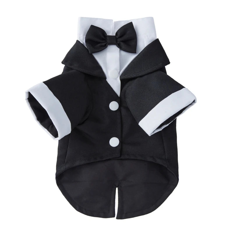 Wedding Shirt Tailcoats With Bow
