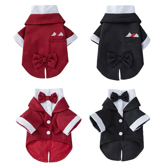 Wedding Shirt Tailcoats With Bow