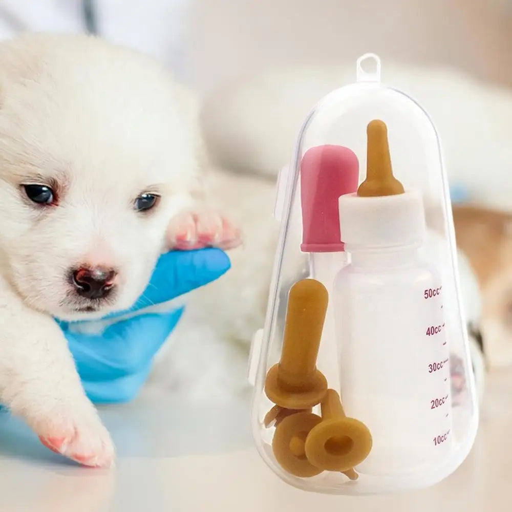 Feeding Bottle Kit With Storage Case