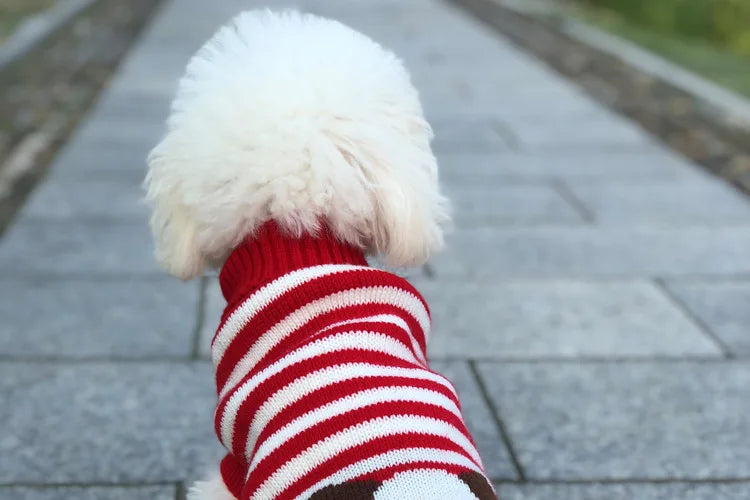 Winter Pet Sweater