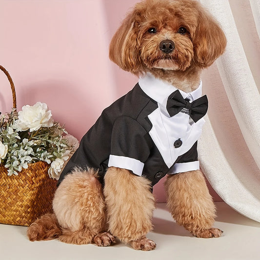 Wedding Suit With Bow