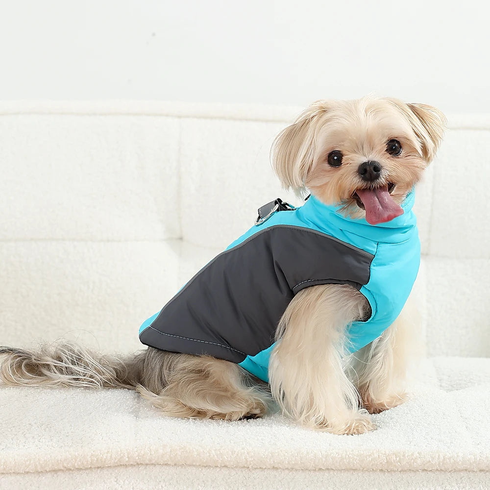 Winter Coat