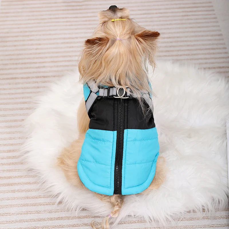 Waterproof Jacket With Harness