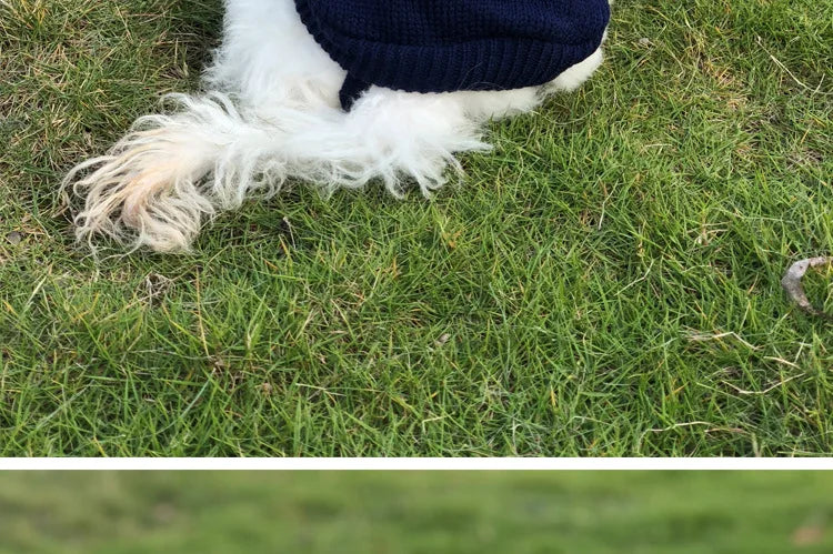 Winter Pet Sweater