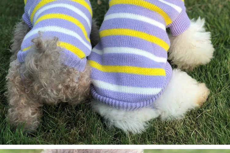 Winter Pet Sweater