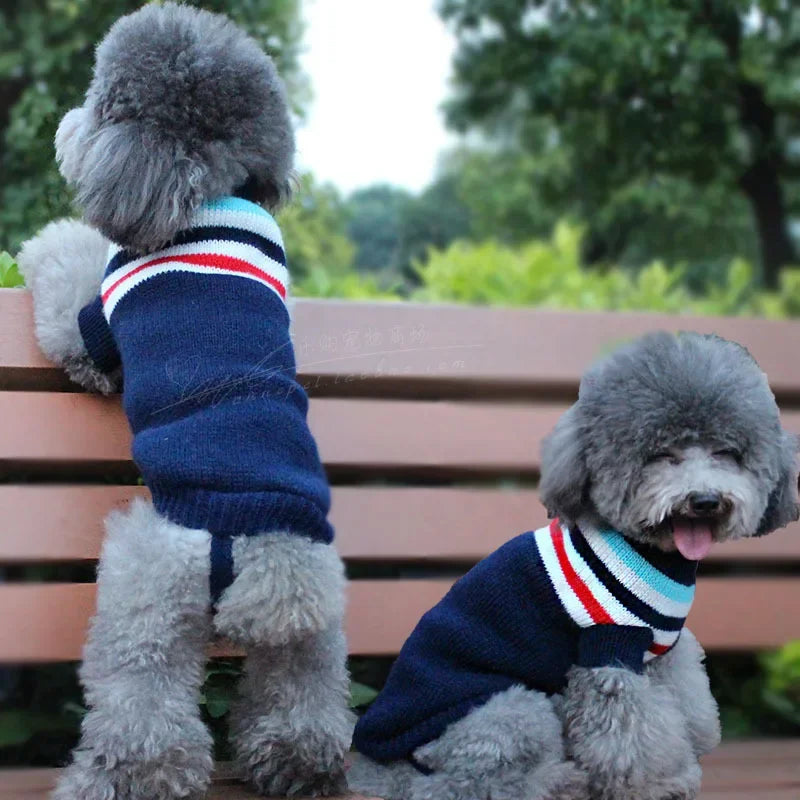 Winter Pet Sweater